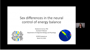 Sex Differences in the Neural Control of Energy Balance