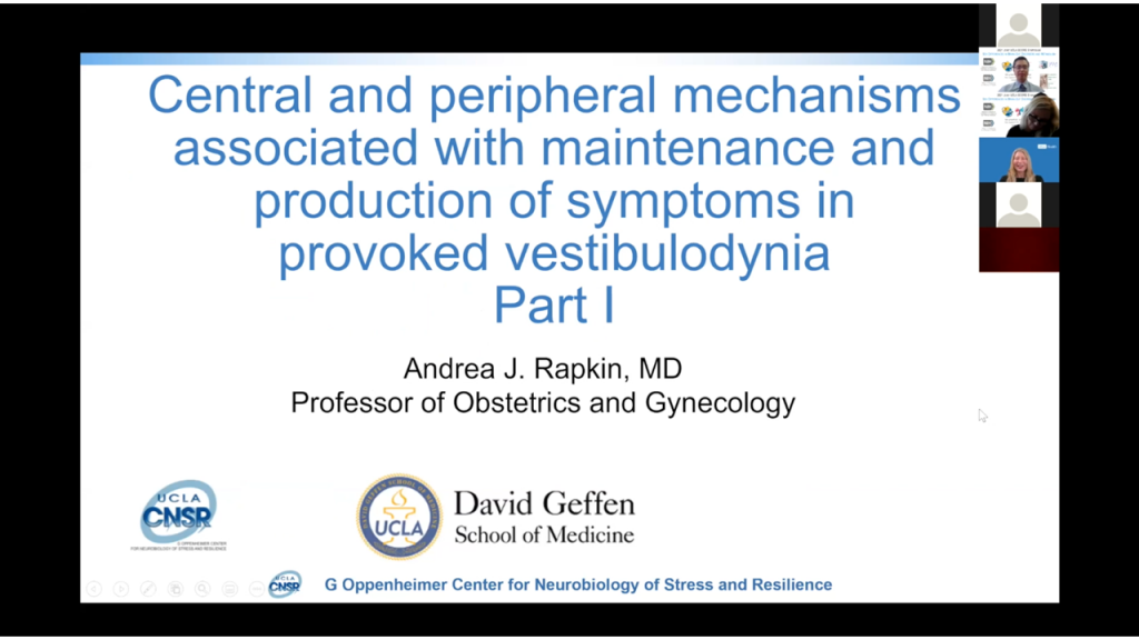Central And Peripheral Mechanisms Associated with Maintenance and Production of Symptoms in Provoked Vestibulodynia