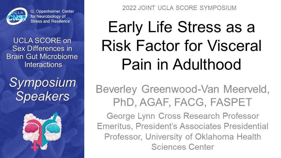 Early Life Stress as a Risk Factor for Visceral Pain in Adulthood
