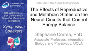 The Effects of Reproductive and Metabolic States on the Neural Circuits that Control Energy Balance