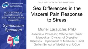 Sex Differences in the Visceral Pain Response to Stress