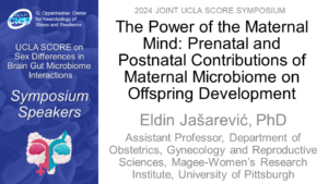 The Power of the Maternal Mind: Prenatal and Postnatal Contributions of Maternal Microbiome on Offspring Development