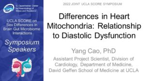 Differences in Heart Mitochondria: Relationship to Diastolic Dysfunction