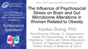 The Influence of Psychosocial Stress on Brain and Gut Microbiome Alterations in Women Related to Obesity