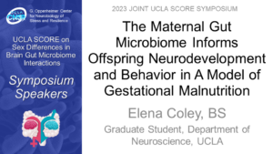 The Maternal Gut Microbiome Informs Offspring Neurodevelopment and Behavior in A Model of Gestational Malnutrition