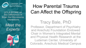 How Parental Trauma Can Affect the Offspring